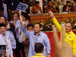 Citra Prabowo Gemoy, Pengamat Sebut  Lahir Secara Organik dari Milenial dan Gen Z