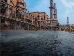 DPR Minta Pemerintah Tak Boros untuk Beli Saham PT Vale