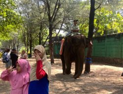 Masih Jadi Favorit, Objek Wisata di Batang Sedot 113.296 Wisatawan Sepanjang Libur Nataru