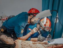 Damkar Satpol P3KP Evakuasi Ular 104 Kali dan Tawon 120 Kali