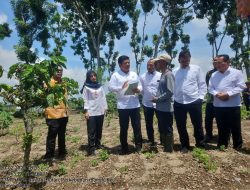 Petani Mangli Bersyukur, Akhirnya dapat Sertifikat Tanah dari Pemerintah